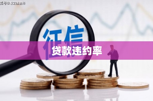 颍州贷款违约率