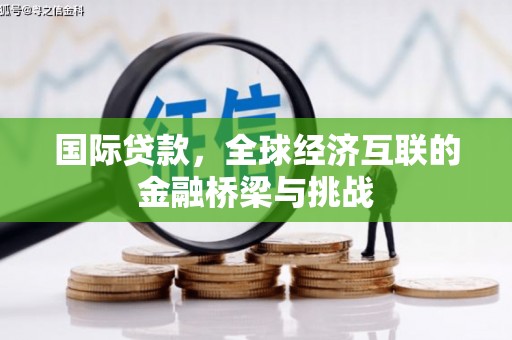颍州国际贷款，全球经济互联的金融桥梁与挑战