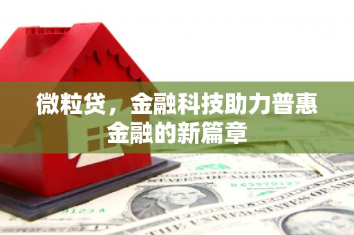 颍州微粒贷，金融科技助力普惠金融的新篇章