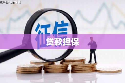 颍州贷款担保