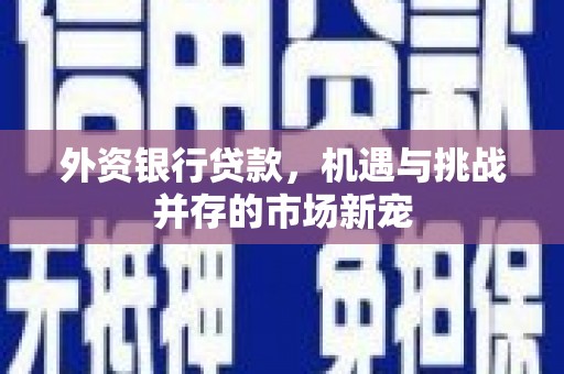 颍州外资银行贷款，机遇与挑战并存的市场新宠