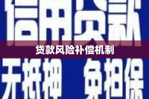 颍州贷款风险补偿机制
