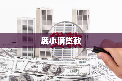 颍州度小满贷款