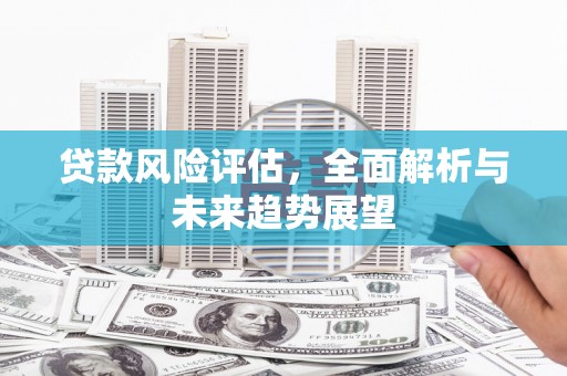 颍州贷款风险评估，全面解析与未来趋势展望
