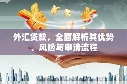 颍州外汇贷款，全面解析其优势、风险与申请流程