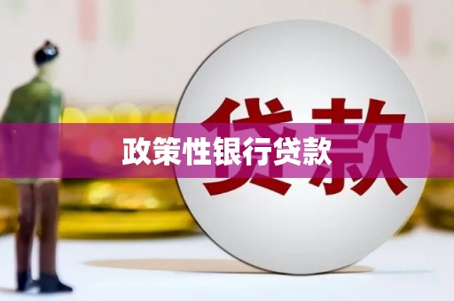 颍州政策性银行贷款