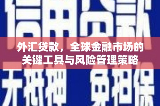 颍州外汇贷款，全球金融市场的关键工具与风险管理策略