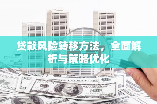 颍州贷款风险转移方法，全面解析与策略优化