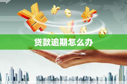 颍州贷款逾期怎么办