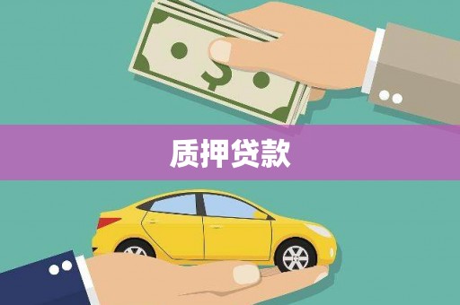 颍州质押贷款