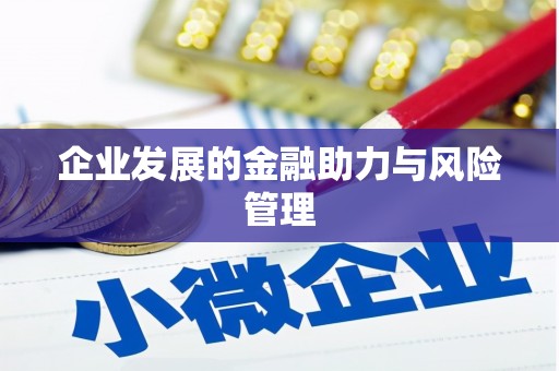 颍州企业发展的金融助力与风险管理