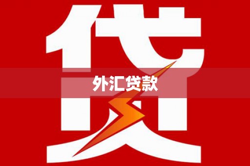 颍州外汇贷款
