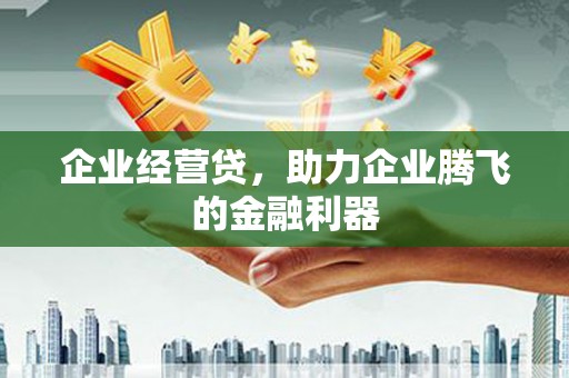 颍州企业经营贷，助力企业腾飞的金融利器
