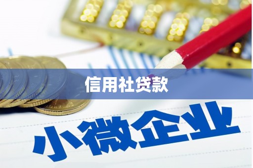 颍州信用社贷款