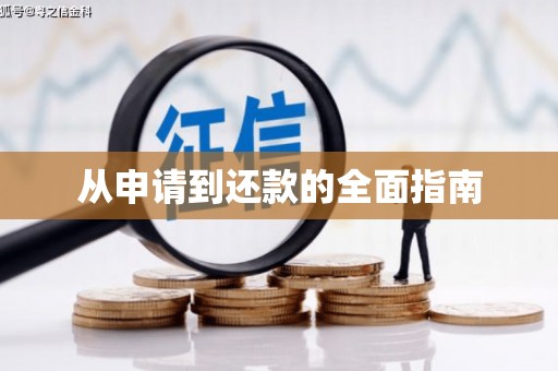 颍州从申请到还款的全面指南