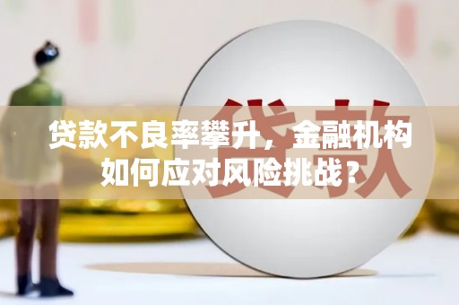 颍州贷款不良率攀升，金融机构如何应对风险挑战？