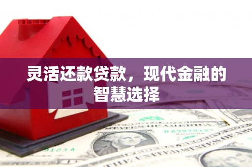 颍州灵活还款贷款，现代金融的智慧选择