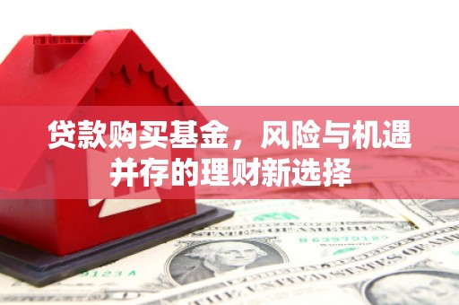 颍州贷款购买基金，风险与机遇并存的理财新选择