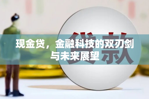 颍州现金贷，金融科技的双刃剑与未来展望
