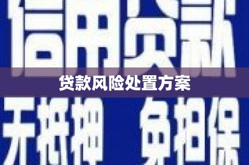 颍州贷款风险处置方案