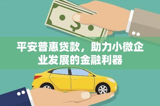 颍州平安普惠贷款，助力小微企业发展的金融利器