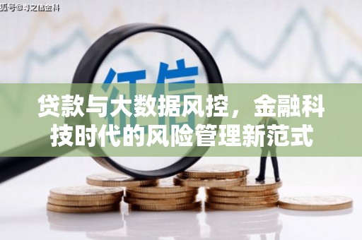 颍州贷款与大数据风控，金融科技时代的风险管理新范式