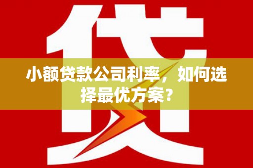 颍州小额贷款公司利率，如何选择最优方案？