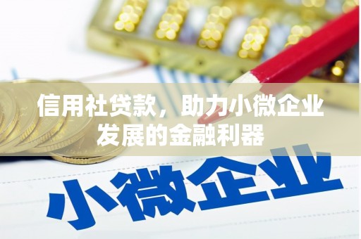 颍州信用社贷款，助力小微企业发展的金融利器