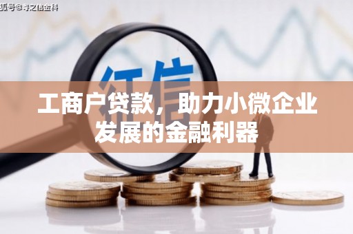 颍州工商户贷款，助力小微企业发展的金融利器