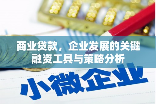 颍州商业贷款，企业发展的关键融资工具与策略分析