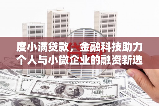 颍州度小满贷款，金融科技助力个人与小微企业的融资新选择