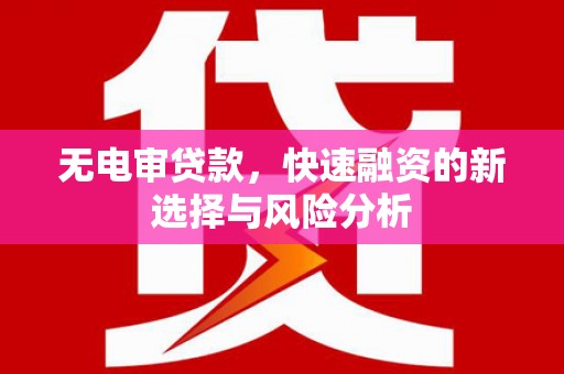 颍州无电审贷款，快速融资的新选择与风险分析