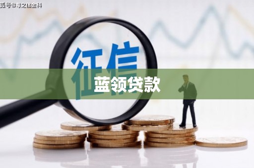颍州蓝领贷款