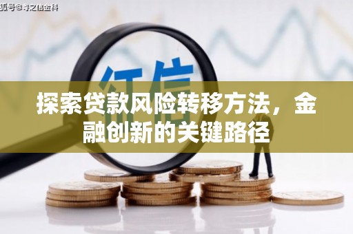 颍州探索贷款风险转移方法，金融创新的关键路径