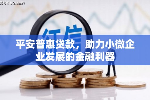 颍州平安普惠贷款，助力小微企业发展的金融利器