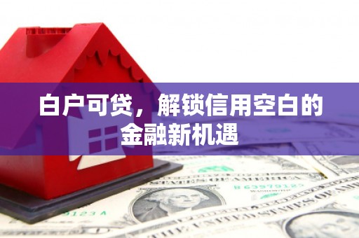 颍州白户可贷，解锁信用空白的金融新机遇