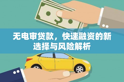 颍州无电审贷款，快速融资的新选择与风险解析