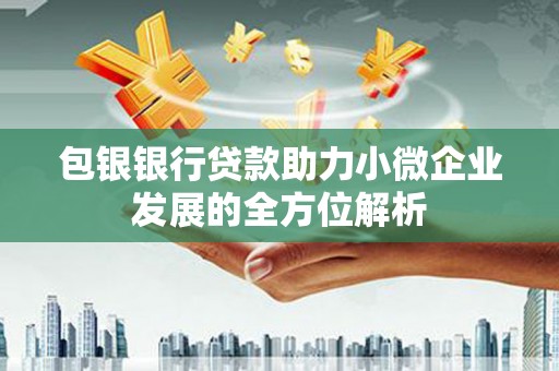 颍州包银银行贷款助力小微企业发展的全方位解析