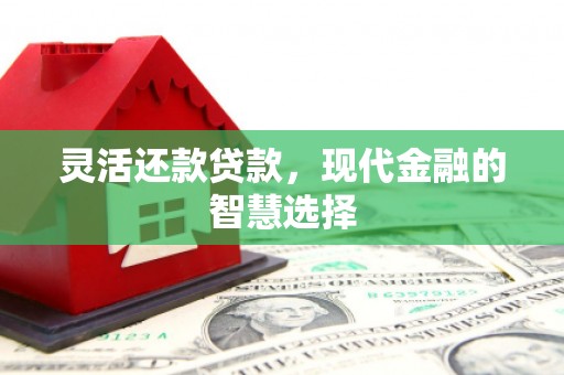 颍州灵活还款贷款，现代金融的智慧选择