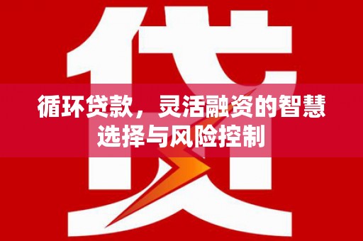 颍州循环贷款，灵活融资的智慧选择与风险控制
