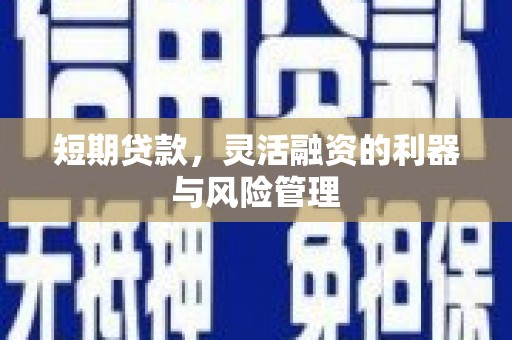 颍州短期贷款，灵活融资的利器与风险管理