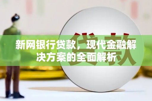 颍州新网银行贷款，现代金融解决方案的全面解析