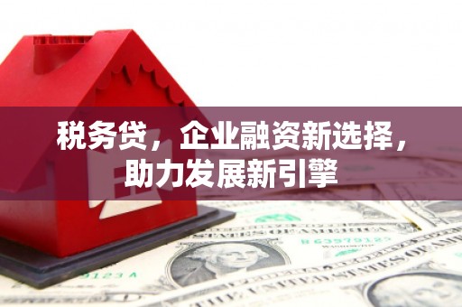 颍州税务贷，企业融资新选择，助力发展新引擎