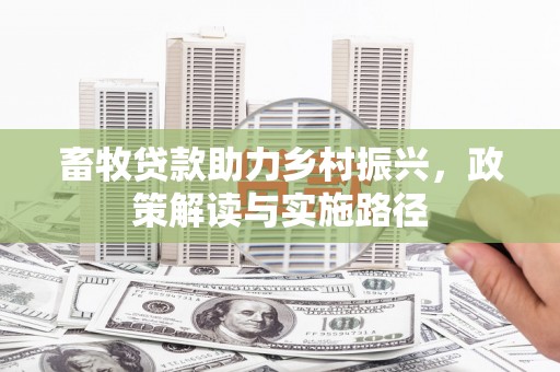 颍州畜牧贷款助力乡村振兴，政策解读与实施路径