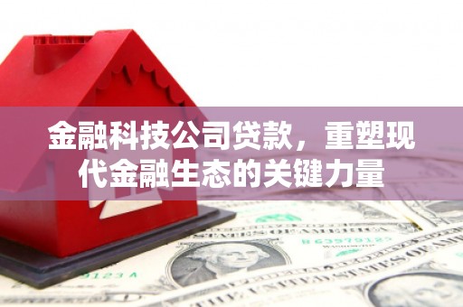 颍州金融科技公司贷款，重塑现代金融生态的关键力量