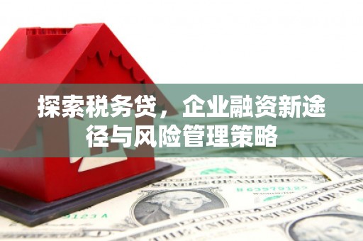 颍州探索税务贷，企业融资新途径与风险管理策略
