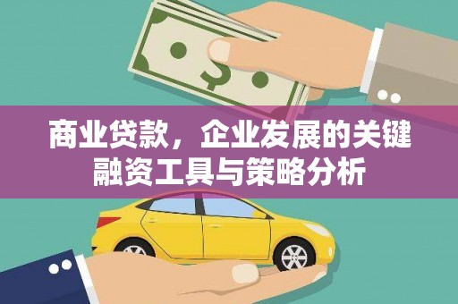 颍州商业贷款，企业发展的关键融资工具与策略分析