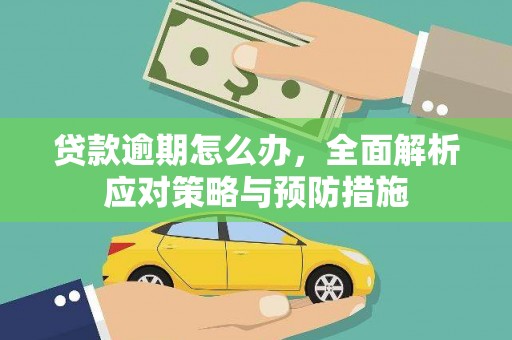颍州贷款逾期怎么办，全面解析应对策略与预防措施