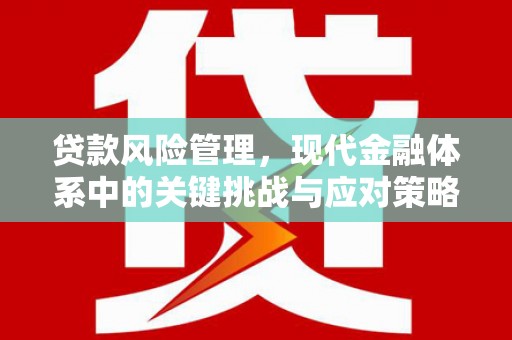 颍州贷款风险管理，现代金融体系中的关键挑战与应对策略