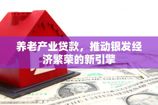 颍州养老产业贷款，推动银发经济繁荣的新引擎